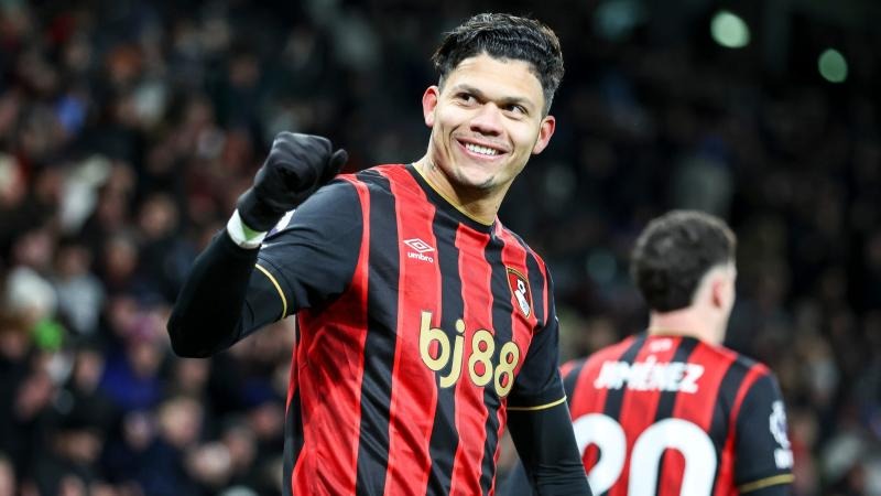 精品内容的 精品内容的